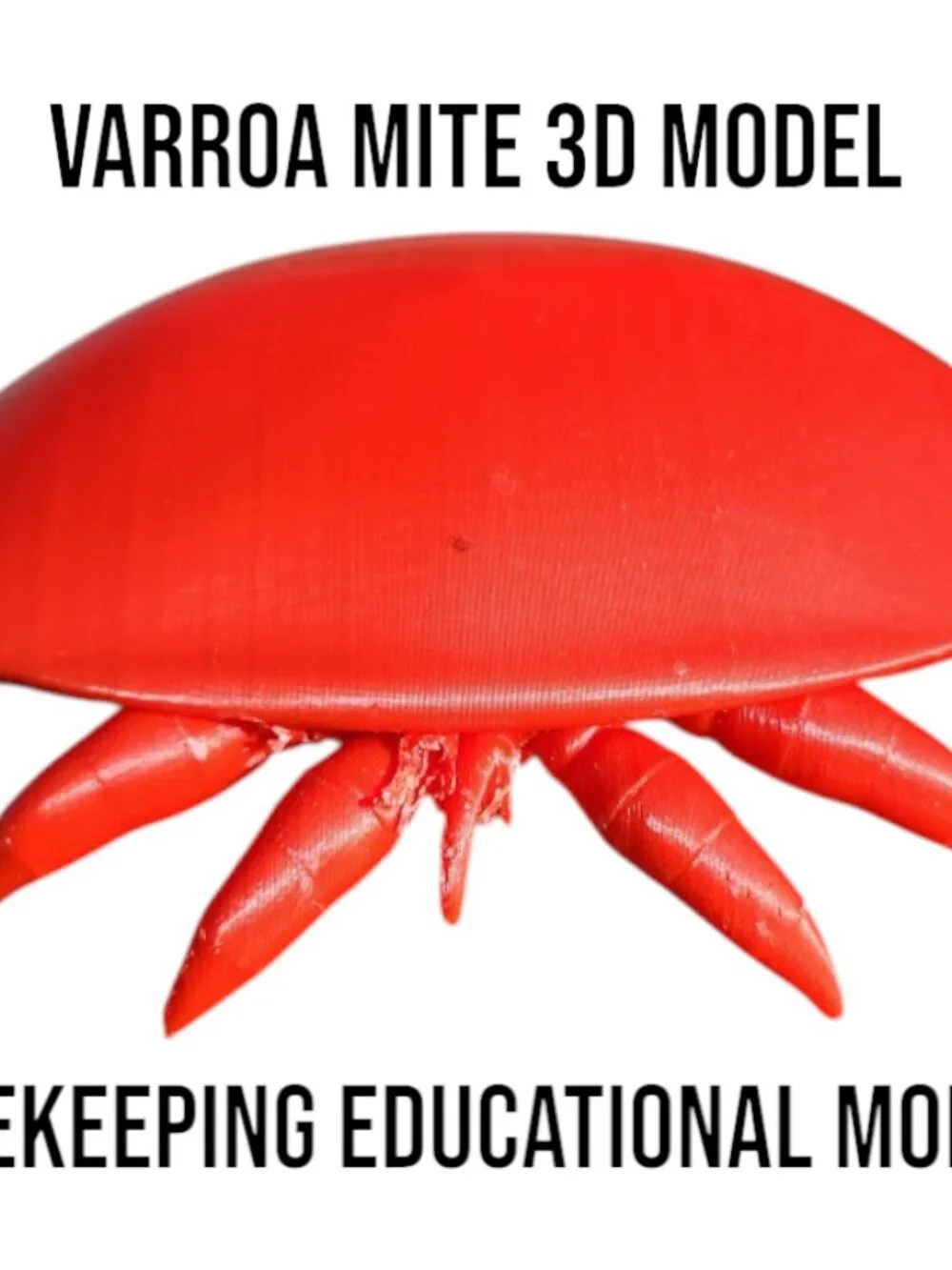 Varroa Mite Varoa Destructor Bug Insect Model Beekeeping Honeybees Bee Save the